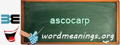 WordMeaning blackboard for ascocarp